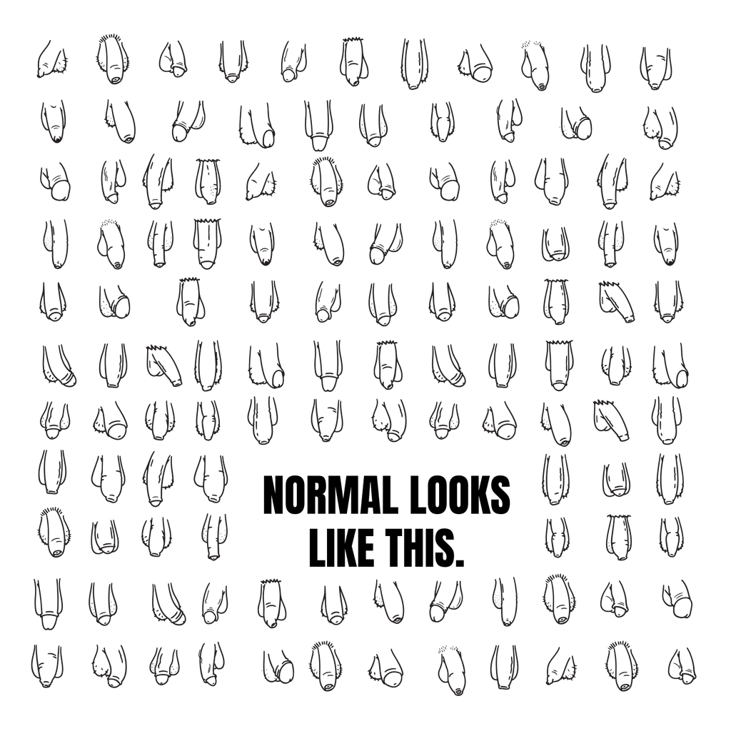 Totebag Normal Looks Like This (Penis Edition) - HalfSerious