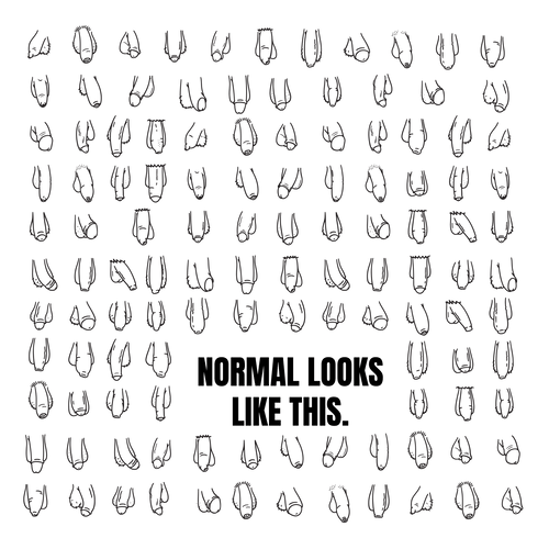 Totebag Normal Looks Like This (Penis Edition) - HalfSerious